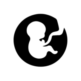 Gynecology & Obstetrics Instruments (4)