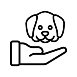 Pet Rehabilitation Products (0)