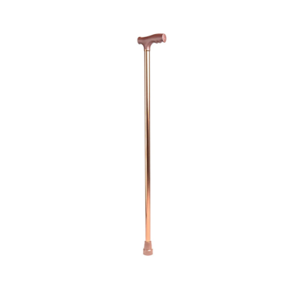 Arrex MS10 Walking Stick