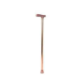 Arrex MS10 Walking Stick