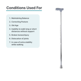 Arrex MS20 Walking Stick