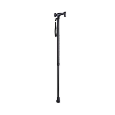 Arrex MS210 Walking Stick