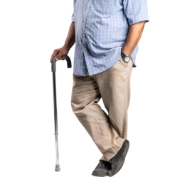 Arrex MS260 Walking Stick