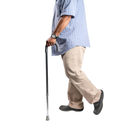 Arrex MS260 Walking Stick