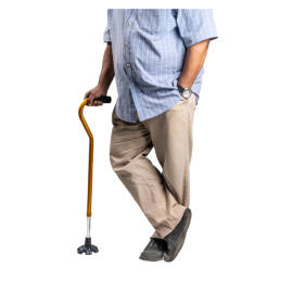 Arrex MS310 Walking Stick