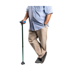 Arrex MS320 Walking Stick