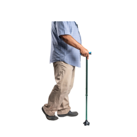 Arrex MS320 Walking Stick