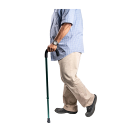 Arrex MS330 Walking Stick