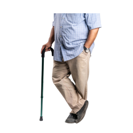 Arrex MS330 Walking Stick