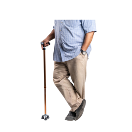 Arrex MS340 Walking Stick