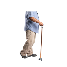 Arrex MS340 Walking Stick