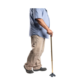 Arrex MS350 Walking Stick