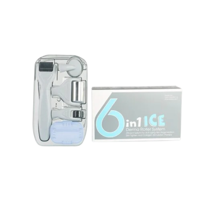 Elmask 6-in-1 Ice Derma Roller Kit