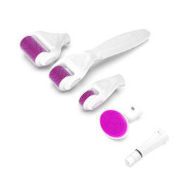 Elmask 6-in-1 Ice Derma Roller Kit