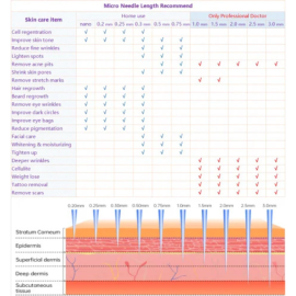 Elmask DRS250 Derma Roller