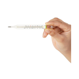 Hicks Oval Thermometer