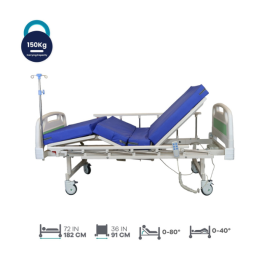 Arrex Theo 2 Function Hospital Electronic Bed