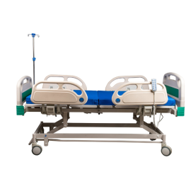Arrex Excelsior Electronic Hospital Bed
