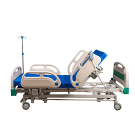 Arrex Excelsior Electronic Hospital Bed