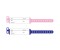 Indosurgicals Patient Identification Bands for Children & Infants