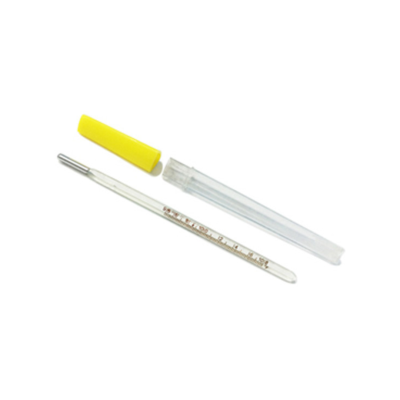 IS Rectal Thermometer