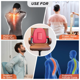 Vissco P.C.No. 0107 Orthopaedic Small Back Support