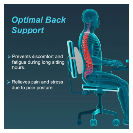 Tynor I-91 Lumbo Back Support