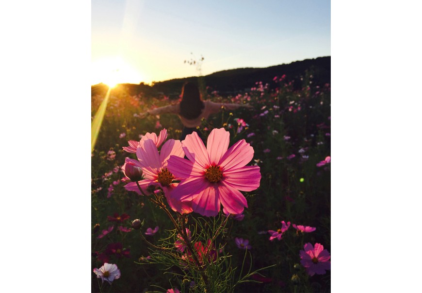 Duis autem vel eum tempor invidunt ut labore ets