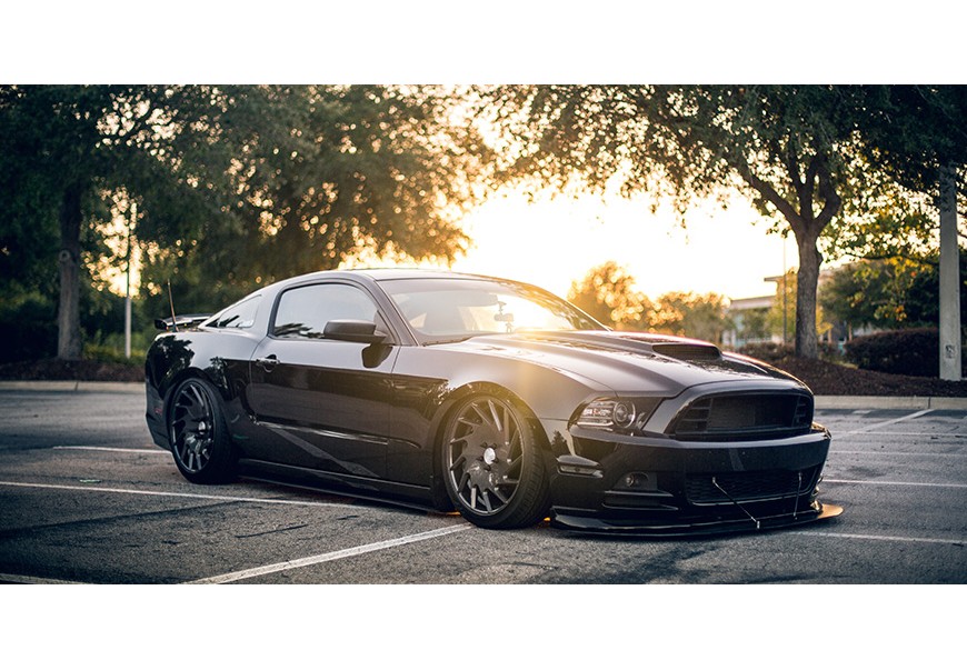 Donec massa pellentes